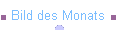 Bild des Monats