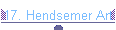 17. Hendsemer Art